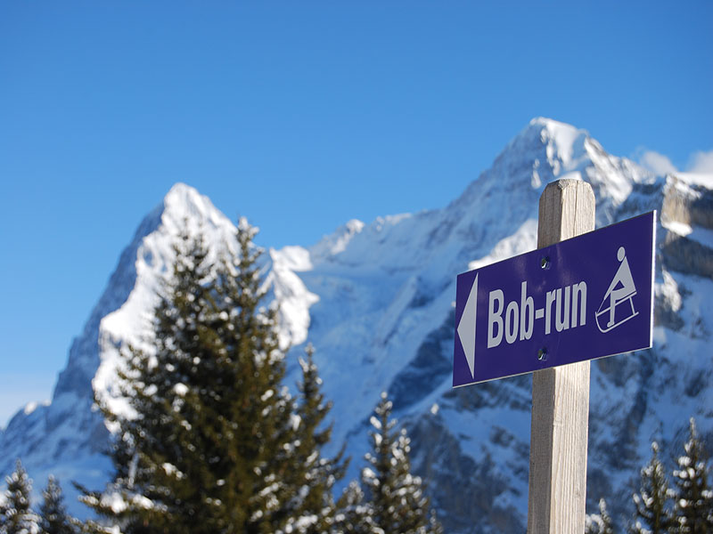 Hotel Eiger Rahmenprogramm Schlittelplausch