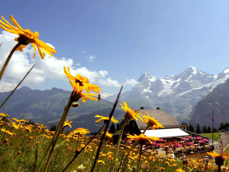 Hotel Eiger Rahmenprogramm Wanderung